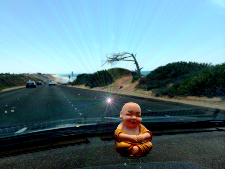 Creation Funky Buddha