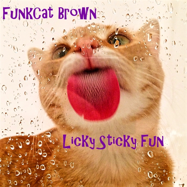 Licky Sticky Fun Modern Funk